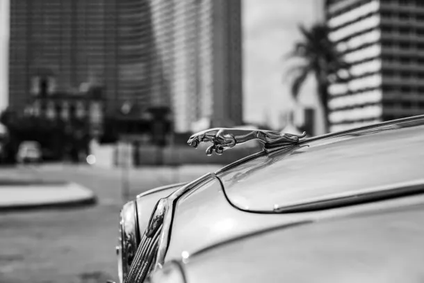 Kasino Extra Android/iOS Aplikácia